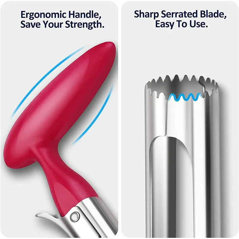 Premium Apple Corer Stainless  - Apple Corer Slicer 评论和价格