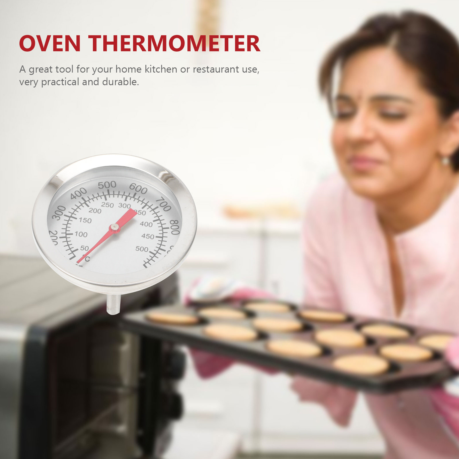 Oven Thermometer Stainless Ste - Instant Read Thermometer 评论和价格