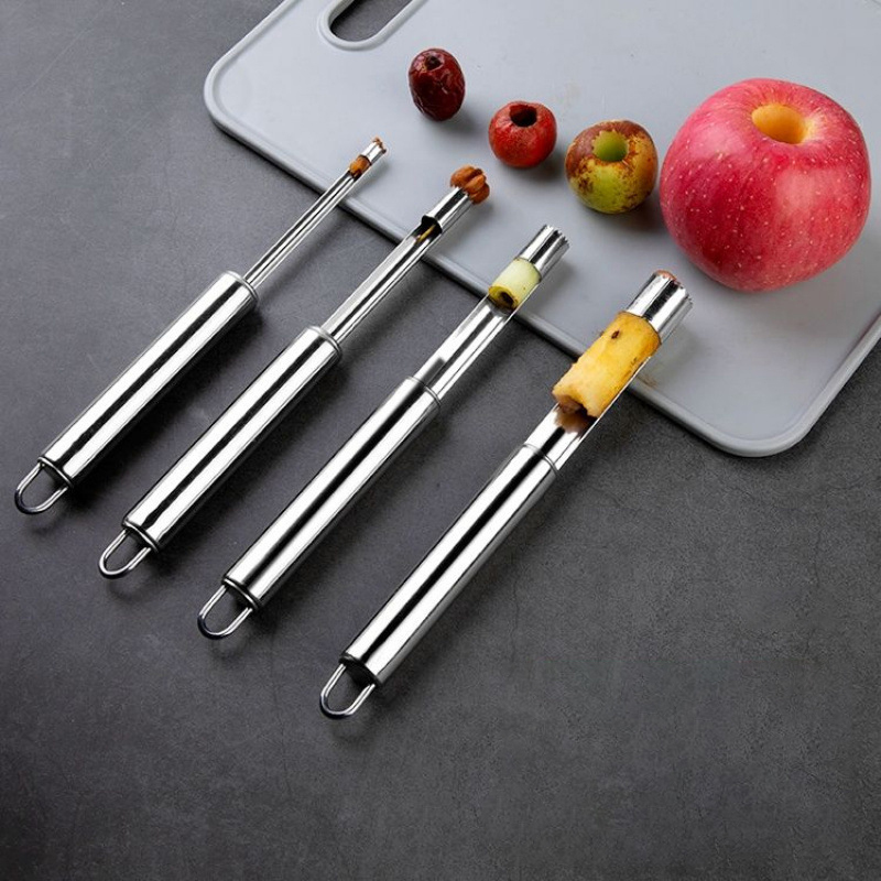 Stainless Steel Fruit Corer Ap - Apple Corer Slicer 评论和价格