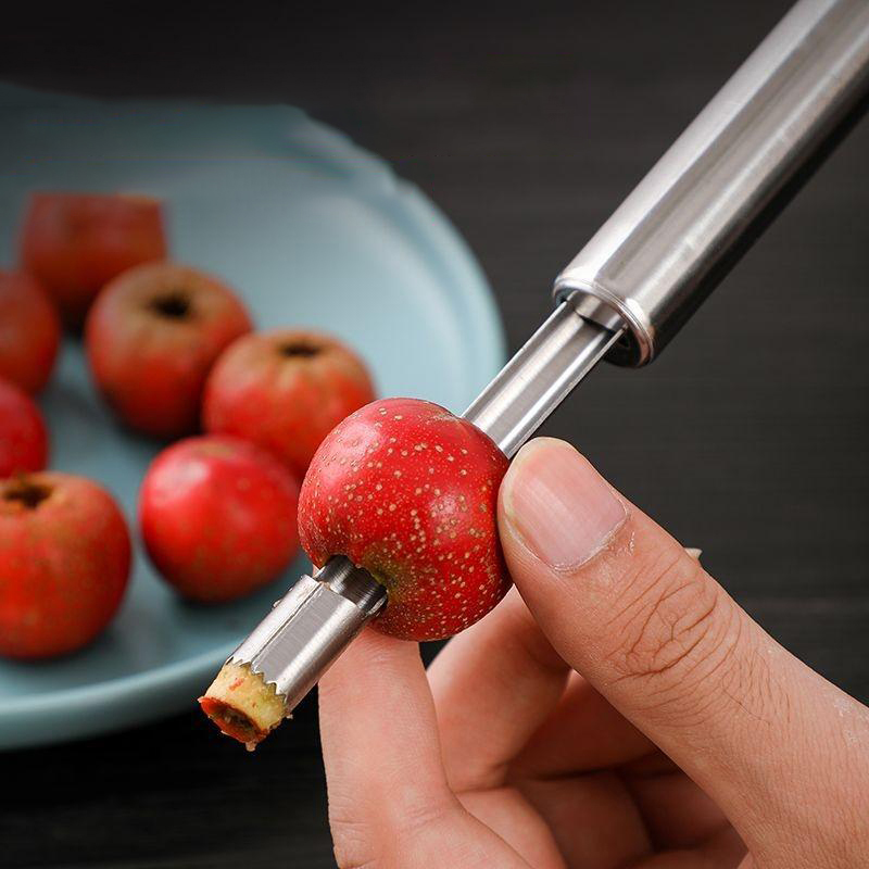 Stainless Steel Fruit Corer Ap - Apple Corer Slicer 评论和价格