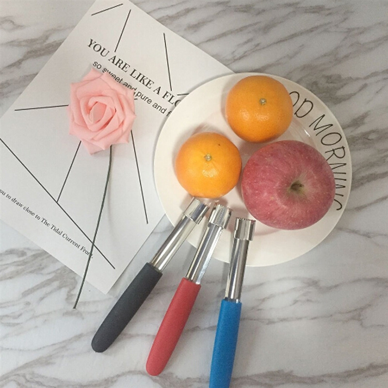 Fruit Apple Corer Stainless St - Apple Corer Slicer 评论和价格