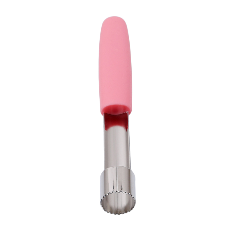 Fruit Apple Corer Stainless St - Apple Corer Slicer 评论和价格